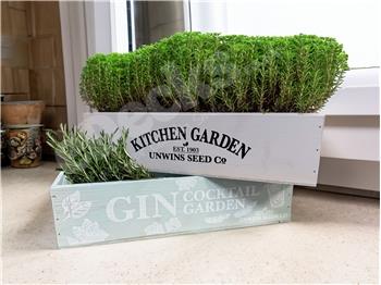 Gin Cocktail Garden Herb Planter (Set of Two) worth £27.98