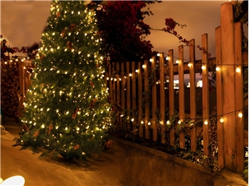 Christmas Multifunction Solar LED String Lights - 60 Bulbs Warm White