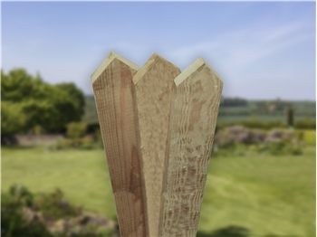 Planed, Pointed Top Picket Boards 1500mm